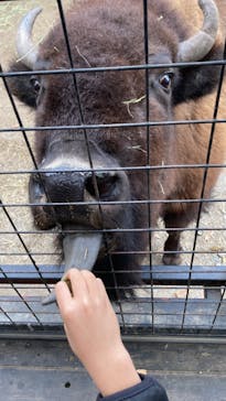 那須サファリパークに投稿された画像（2022/11/13）