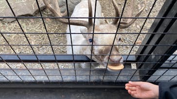 那須サファリパークに投稿された画像（2022/11/13）