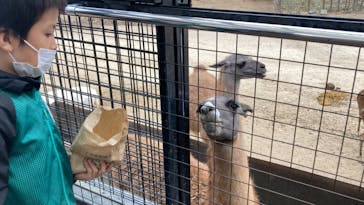 那須サファリパークに投稿された画像（2022/11/13）