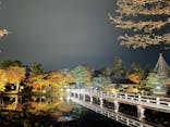 国営昭和記念公園 秋の夜散歩に投稿された画像（2022/11/13）