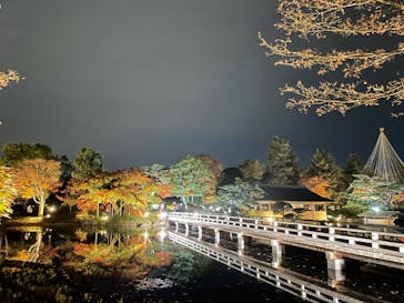 国営昭和記念公園 秋の夜散歩に投稿された画像（2022/11/13）
