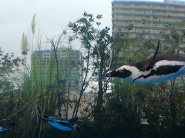 サンシャイン水族館に投稿された画像（2022/11/13）