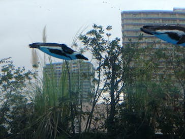 サンシャイン水族館に投稿された画像（2022/11/13）