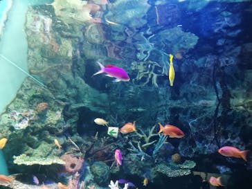 サンシャイン水族館に投稿された画像（2022/11/13）