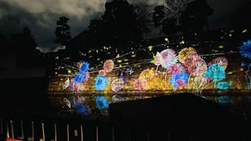 NAKED FLOWERS 2022 秋 世界遺産・二条城に投稿された画像（2022/11/13）