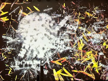 NAKED FLOWERS 2022 秋 世界遺産・二条城に投稿された画像（2022/11/13）