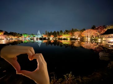 国営昭和記念公園 秋の夜散歩に投稿された画像（2022/11/13）