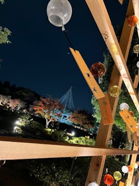 国営昭和記念公園 秋の夜散歩に投稿された画像（2022/11/13）