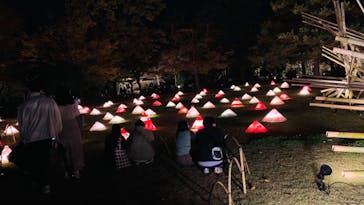 国営昭和記念公園 秋の夜散歩に投稿された画像（2022/11/13）
