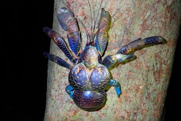 宮古島マリン SUGAR3（シュガースリー）に投稿された画像（2022/11/13）