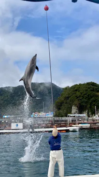 うみたま体験パーク 「つくみイルカ島」に投稿された画像（2022/11/13）