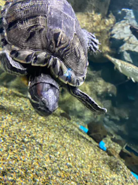 仙台うみの杜水族館に投稿された画像（2022/11/13）