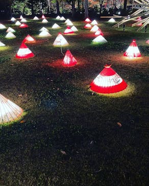 国営昭和記念公園 秋の夜散歩に投稿された画像（2022/11/13）