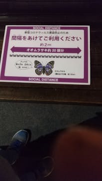 滋賀県立琵琶湖博物館に投稿された画像（2022/11/13）