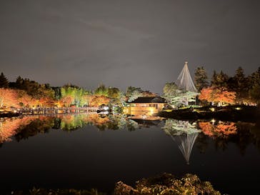 国営昭和記念公園 秋の夜散歩に投稿された画像（2022/11/13）