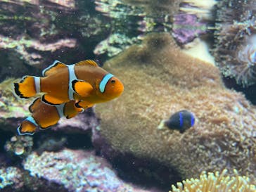 サンシャイン水族館に投稿された画像（2022/11/13）