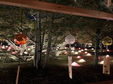 国営昭和記念公園 秋の夜散歩に投稿された画像（2022/11/13）