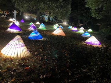 国営昭和記念公園 秋の夜散歩に投稿された画像（2022/11/13）