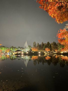国営昭和記念公園 秋の夜散歩に投稿された画像（2022/11/13）