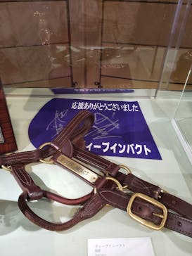 ノーザンホースパークに投稿された画像（2022/11/13）