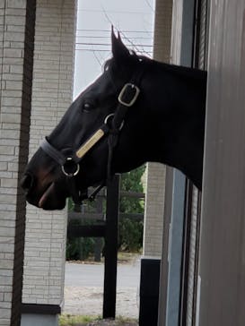 ノーザンホースパークに投稿された画像（2022/11/13）