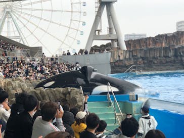 名古屋港水族館に投稿された画像（2022/11/13）