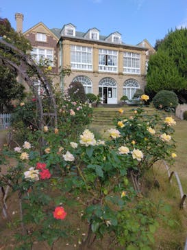 鳩山会館に投稿された画像（2022/11/13）