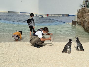 大分マリーンパレス水族館 「うみたまご」に投稿された画像（2022/11/13）