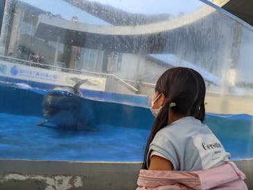 大分マリーンパレス水族館 「うみたまご」に投稿された画像（2022/11/13）