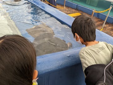 大分マリーンパレス水族館 「うみたまご」に投稿された画像（2022/11/13）