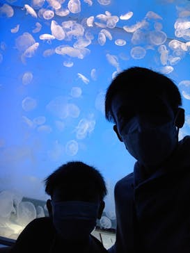 アクアワールド茨城県大洗水族館に投稿された画像（2022/11/13）