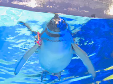 すみだ水族館に投稿された画像（2022/11/13）