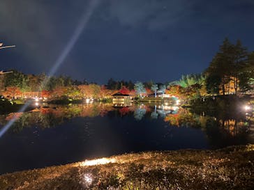 国営昭和記念公園 秋の夜散歩に投稿された画像（2022/11/13）
