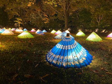 国営昭和記念公園 秋の夜散歩に投稿された画像（2022/11/13）