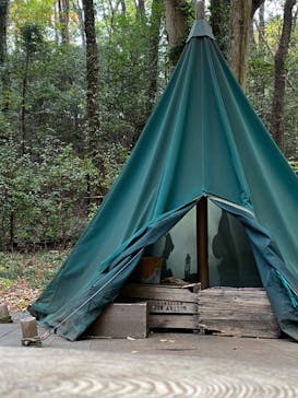 ムーミンバレーパークに投稿された画像（2022/11/13）