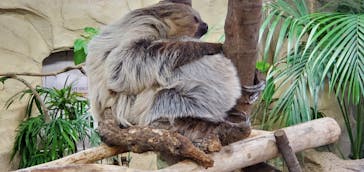 那須どうぶつ王国に投稿された画像（2022/11/13）