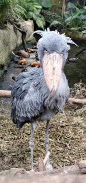 那須どうぶつ王国に投稿された画像（2022/11/13）