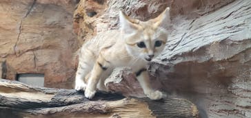 那須どうぶつ王国に投稿された画像（2022/11/13）