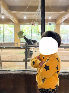 よこはま動物園ズーラシアに投稿された画像（2022/11/13）