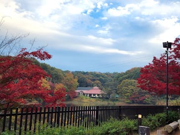 ムーミンバレーパークに投稿された画像（2022/11/14）