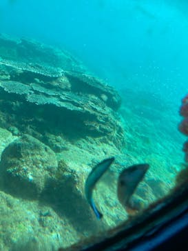 串本海中公園水族館に投稿された画像（2022/11/14）