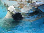 天王寺動物園に投稿された画像（2022/11/14）
