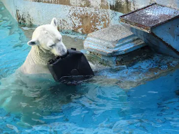 天王寺動物園に投稿された画像（2022/11/14）