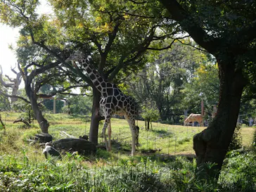 天王寺動物園に投稿された画像（2022/11/14）