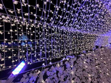 東京メガイルミに投稿された画像（2022/11/14）