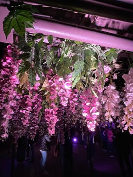 東京メガイルミに投稿された画像（2022/11/14）