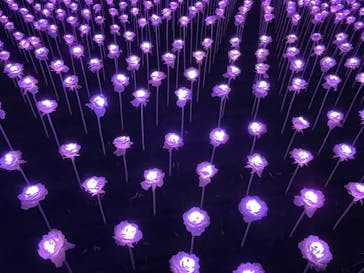 東京メガイルミに投稿された画像（2022/11/14）