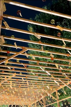 国営昭和記念公園 秋の夜散歩に投稿された画像（2022/11/14）