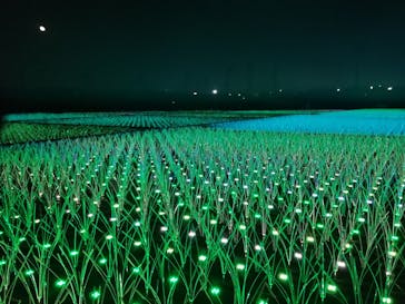 東京メガイルミに投稿された画像（2022/11/14）