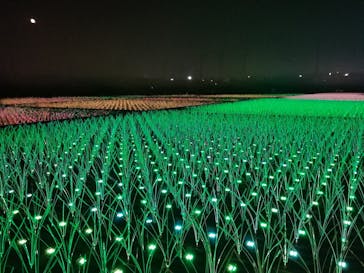 東京メガイルミに投稿された画像（2022/11/14）